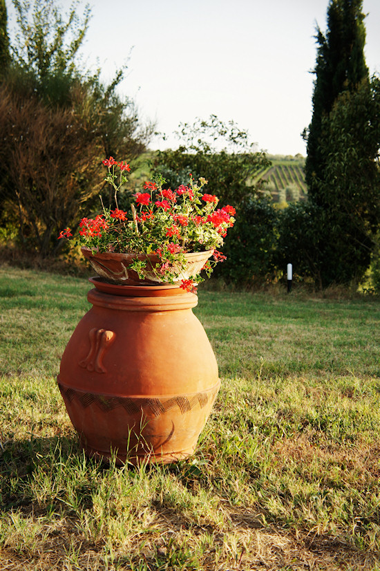 The garden of Le Colonie with a large flower pot