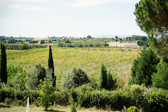 Le Colonie: Vineyards