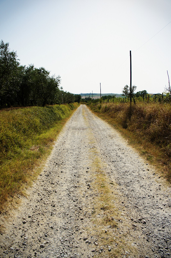 Bumpy road in the countryside