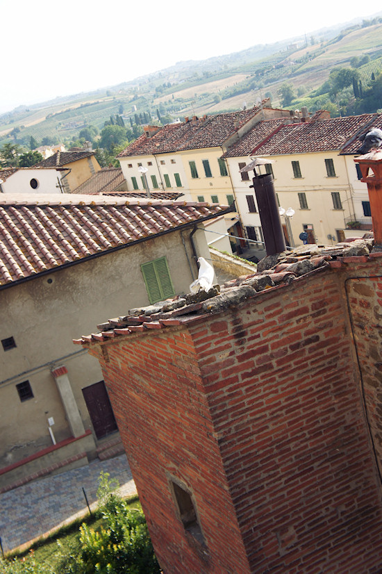 View over Vinci, Italy