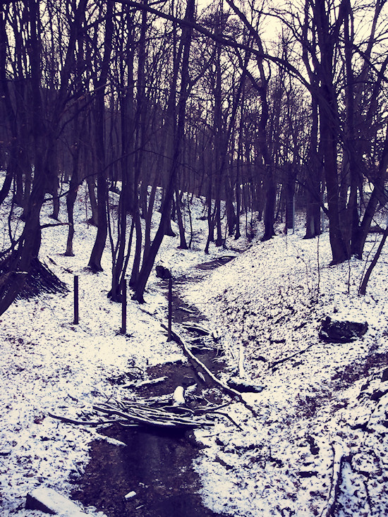 Snow in the Vienna Woods (Wienerwald)