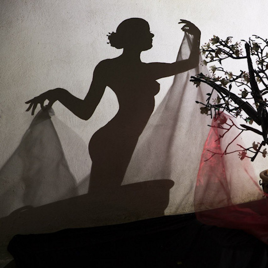 Shadow Art by Teodosio Sectio Aurea: Akina, feminine beauty