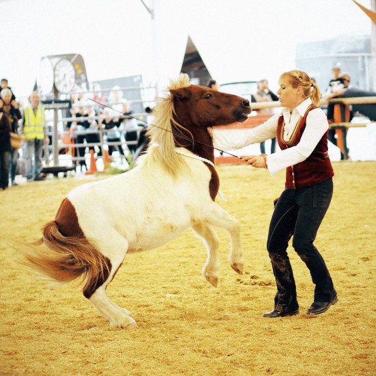 Horse Agility Show with Katharina Schneidhofer and her crazy showhorses @ Apropos Pferd Horse Fair Arena Nova