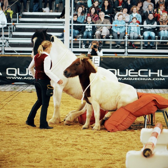 Horse Agility Show with Katharina Schneidhofer and her crazy showhorses @ Apropos Pferd Horse Fair Arena Nova