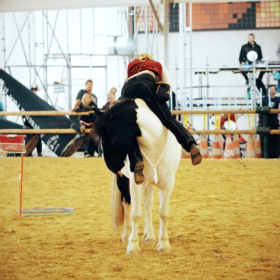 Horse Agility Show with Katharina Schneidhofer and her crazy showhorses @ Apropos Pferd Horse Fair Arena Nova