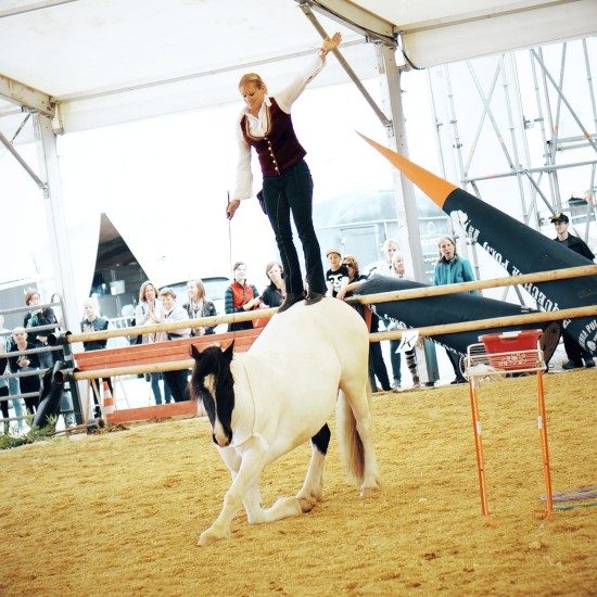 Horse Agility Show with Katharina Schneidhofer and her crazy showhorses @ Apropos Pferd Horse Fair Arena Nova