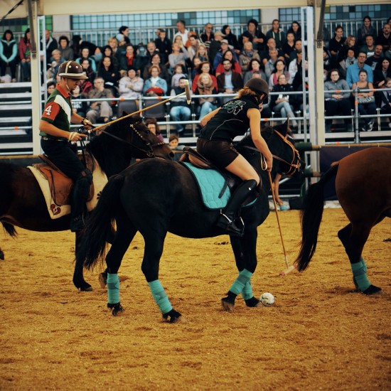 Polo competition @ Apropos Pferd Horse Fair Arena Nova