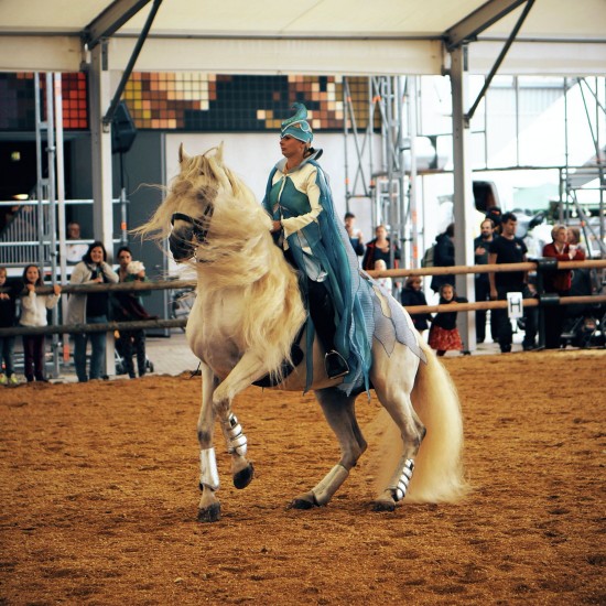 Show "Kampf der Elemente" (Battle of the elements) by Martina Wütherich @ Apropos Pferd Horse Fair Arena Nova