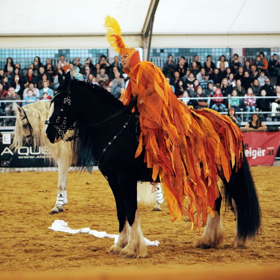 Show "Kampf der Elemente" (Battle of the elements) by Martina Wütherich @ Apropos Pferd Horse Fair Arena Nova