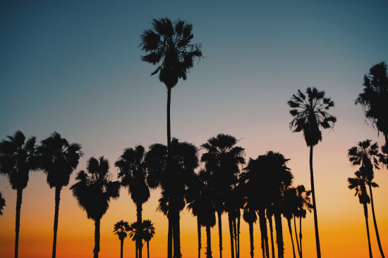 Sunset in Los Angeles, Venice Beach