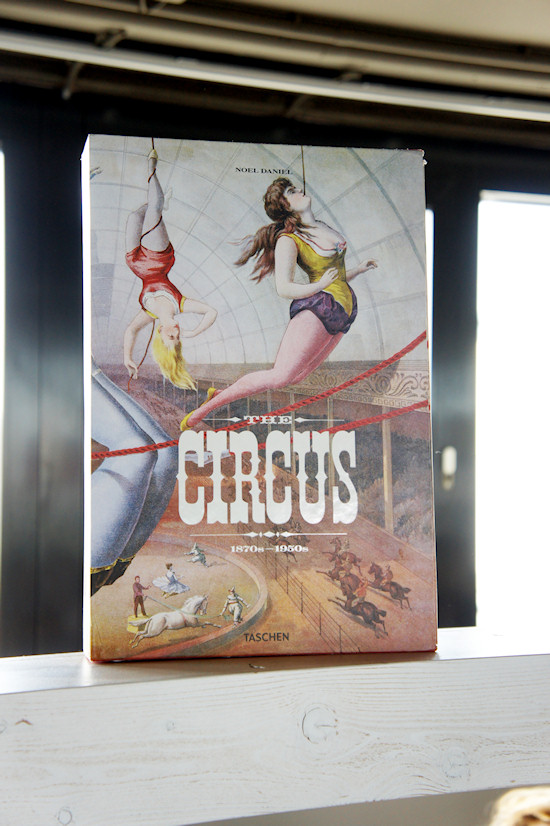 The Circus Book by Daniel Noel, Cover