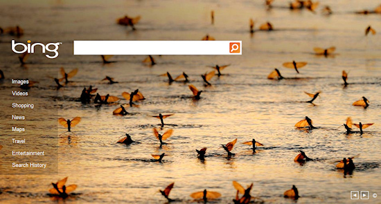 Bing Long-tailed Mayflies